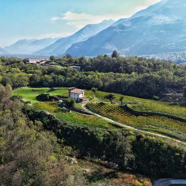 Foto Instagram Tenuta Montecchio