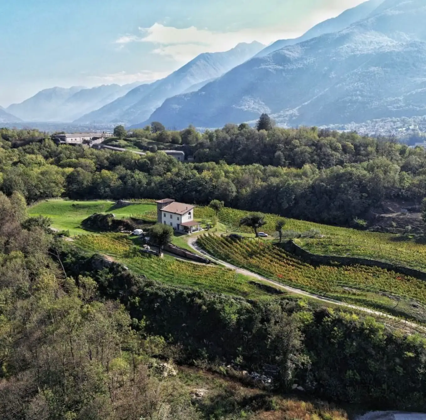 Tenuta Montecchio - La Nostra Storia