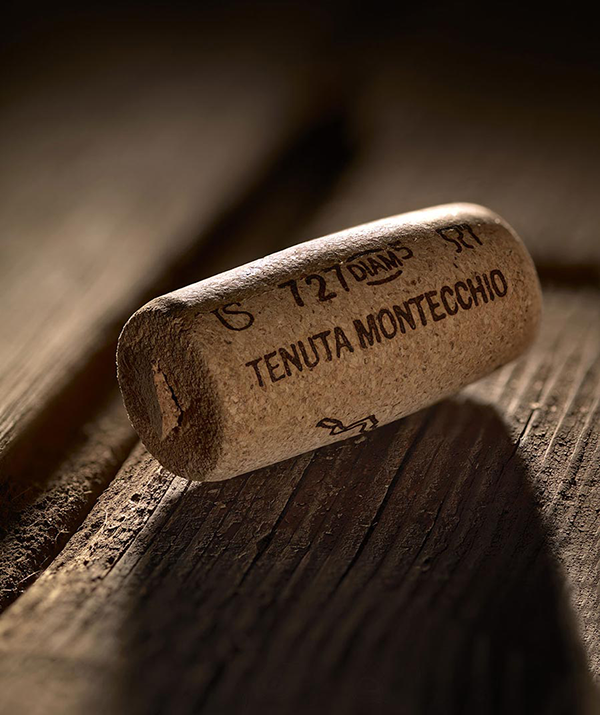 Tenuta Montecchio